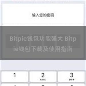 Bitpie钱包功能强大 Bitpie钱包下载及使用指南