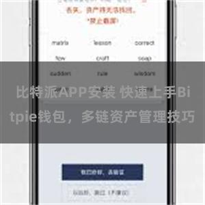 比特派APP安装 快速上手Bitpie钱包，多链资产管理技巧