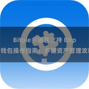 Bitpie多语言支持 Bitpie钱包操作指南：多链资产管理攻略