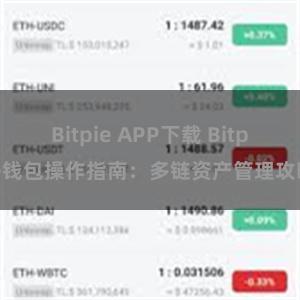 Bitpie APP下载 Bitpie钱包操作指南：多链资产管理攻略