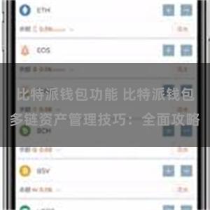 比特派钱包功能 比特派钱包多链资产管理技巧：全面攻略
