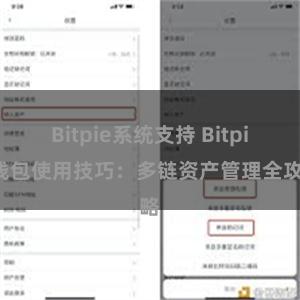 Bitpie系统支持 Bitpie钱包使用技巧：多链资产管理全攻略