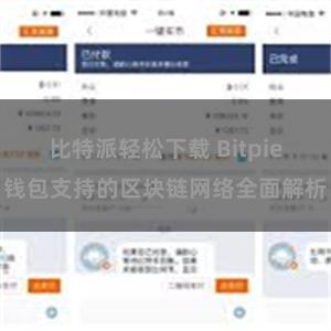 比特派轻松下载 Bitpie钱包支持的区块链网络全面解析