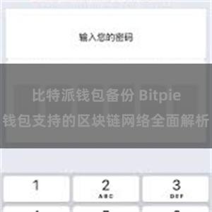 比特派钱包备份 Bitpie钱包支持的区块链网络全面解析