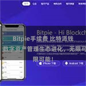 Bitpie手续费 比特派钱包：数字资产管理生态进化，无限可能！