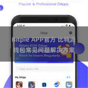 Bitpie APP官方 比特派钱包常见问题解决方案