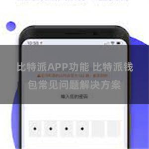 比特派APP功能 比特派钱包常见问题解决方案