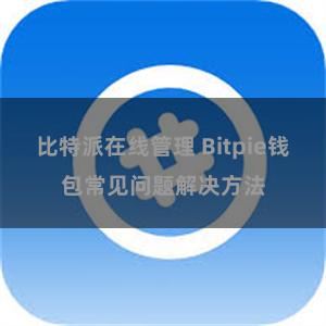 比特派在线管理 Bitpie钱包常见问题解决方法