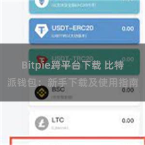 Bitpie跨平台下载 比特派钱包：新手下载及使用指南