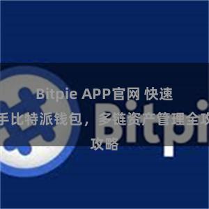 Bitpie APP官网 快速上手比特派钱包，多链资产管理全攻略