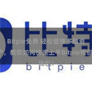 Bitpie免费 轻松管理多链资产，教你如何快速上手Bitpie钱包！