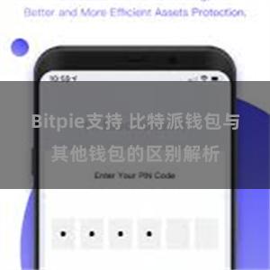 Bitpie支持 比特派钱包与其他钱包的区别解析