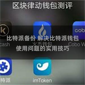 比特派备份 解决比特派钱包使用问题的实用技巧