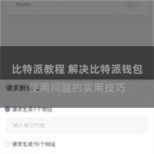 比特派教程 解决比特派钱包使用问题的实用技巧