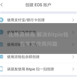 比特派转账 解决Bitpie钱包常见使用问题