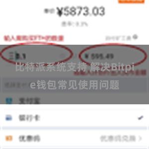 比特派系统支持 解决Bitpie钱包常见使用问题