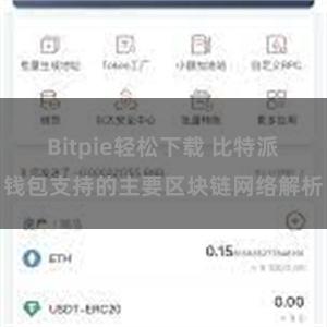 Bitpie轻松下载 比特派钱包支持的主要区块链网络解析