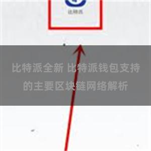 比特派全新 比特派钱包支持的主要区块链网络解析