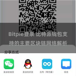 Bitpie登录 比特派钱包支持的主要区块链网络解析