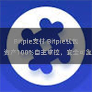 Bitpie支付 Bitpie钱包：资产100%自主掌控，安全可靠。