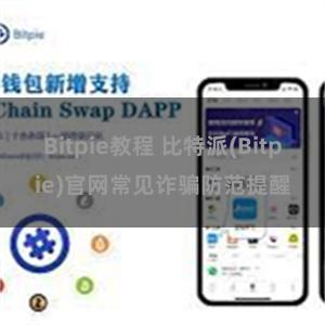 Bitpie教程 比特派(Bitpie)官网常见诈骗防范提醒