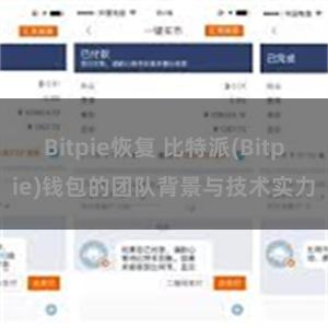 Bitpie恢复 比特派(Bitpie)钱包的团队背景与技术实力