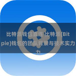 比特派钱包直连 比特派(Bitpie)钱包的团队背景与技术实力