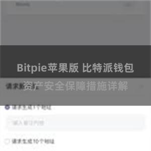 Bitpie苹果版 比特派钱包资产安全保障措施详解