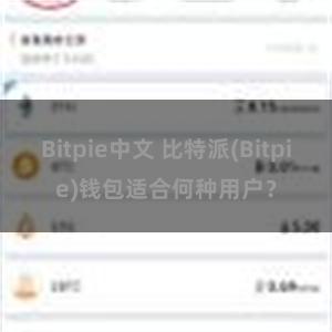 Bitpie中文 比特派(Bitpie)钱包适合何种用户？