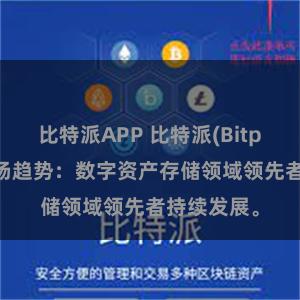 比特派APP 比特派(Bitpie)钱包市场趋势：数字资产存储领域领先者持续发展。