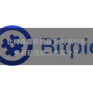 比特派最新教程 比特派钱包交易延迟解决方案分享