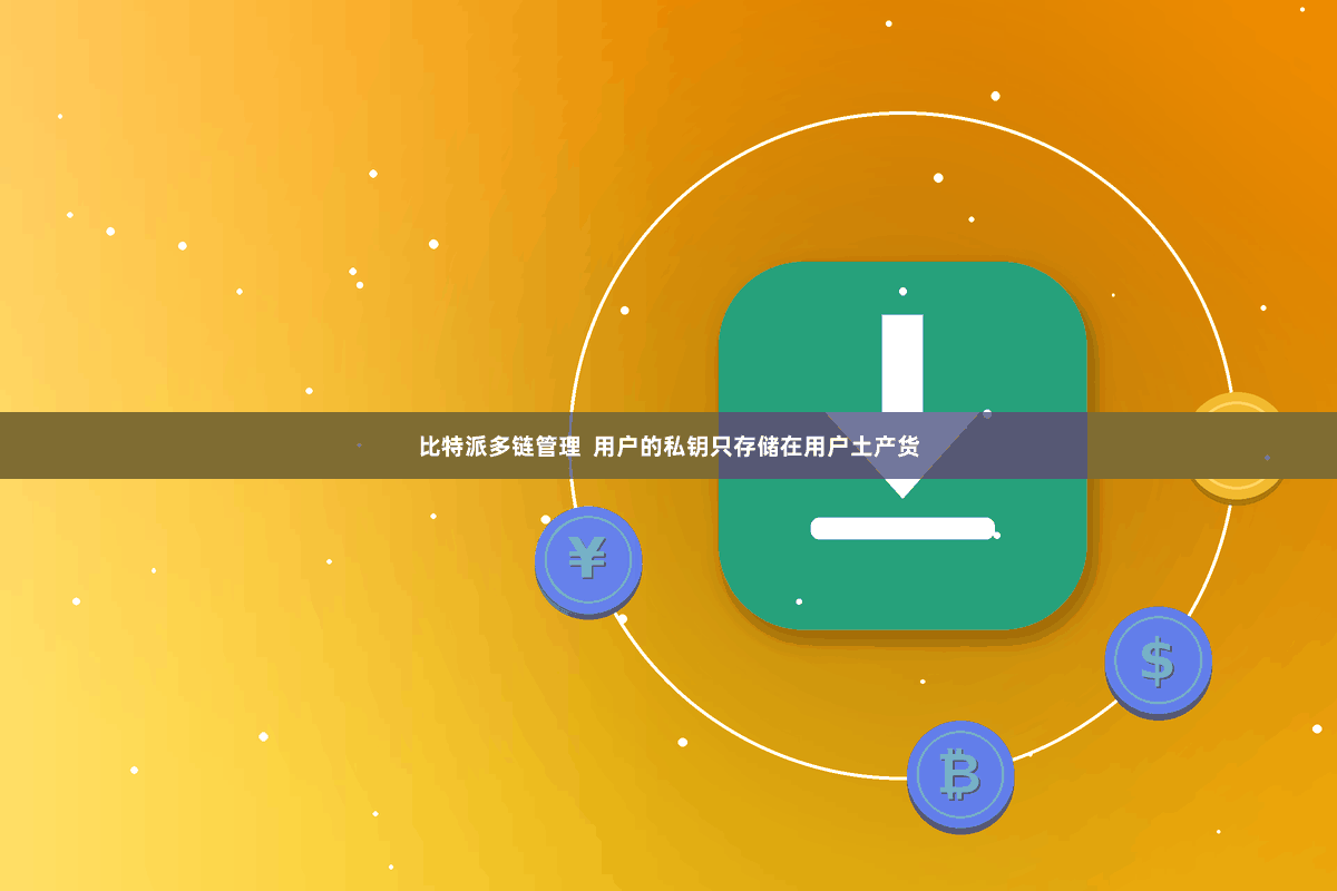 比特派多链管理  用户的私钥只存储在用户土产货